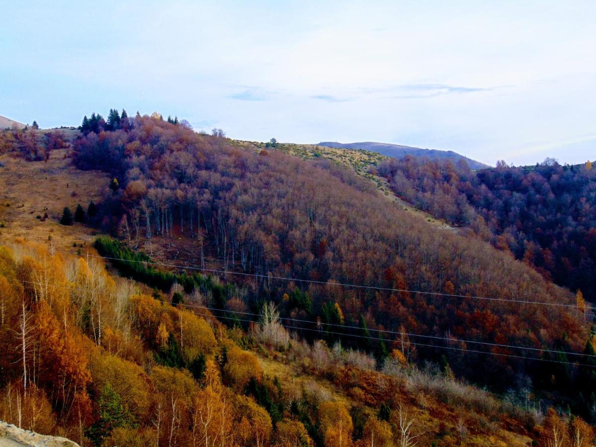 Sunny Days Apartman Kopaonik Luaran gambar