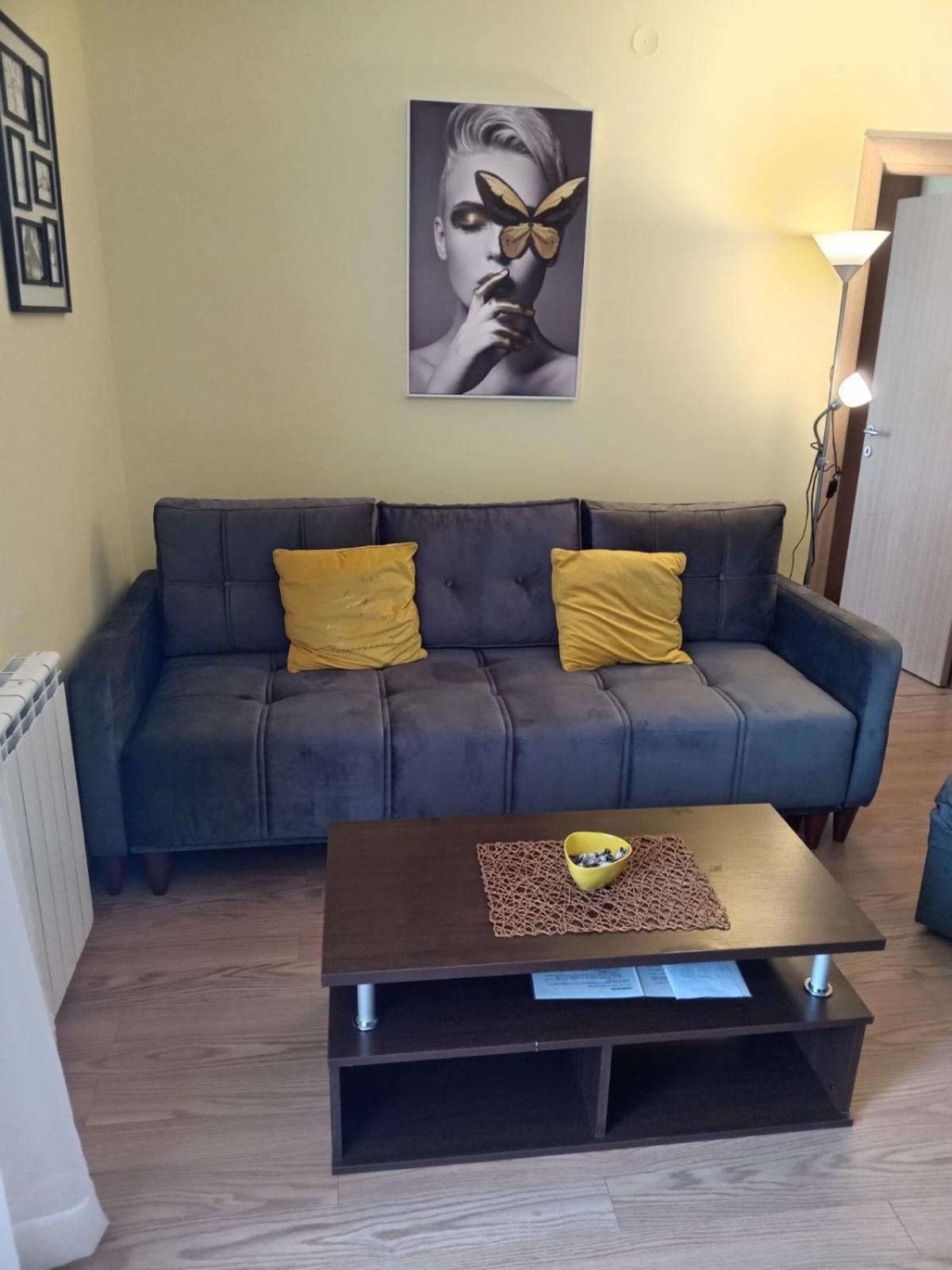 Sunny Days Apartman Kopaonik Luaran gambar